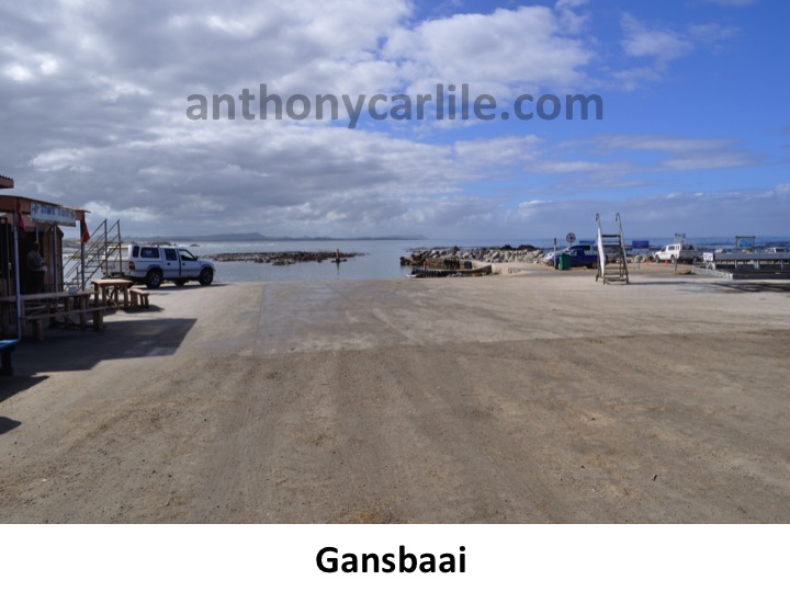 Anthony Carlile_39.jpg